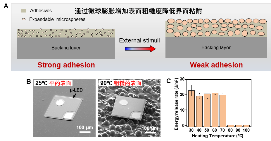 ?浙大學(xué)者研發(fā)超薄功能器件大面積、可編程轉(zhuǎn)印技術(shù)