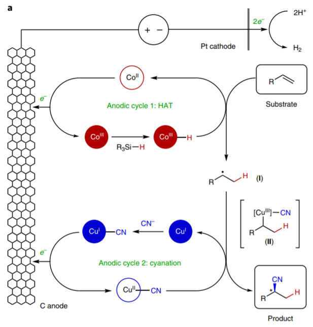 美國康奈爾大學林松團隊《自然·化學》:電驅(qū)動雙金屬催化共軛烯烴氫氰化反應