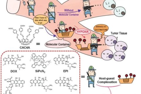 史林啟/劉陽/郭東升《先進材料》：以低氧敏感超分子作船，載藥劃向腫瘤