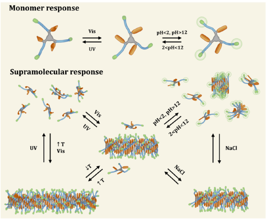 《JACS》單組分超分子聚合物：獨立響應四種刺激
