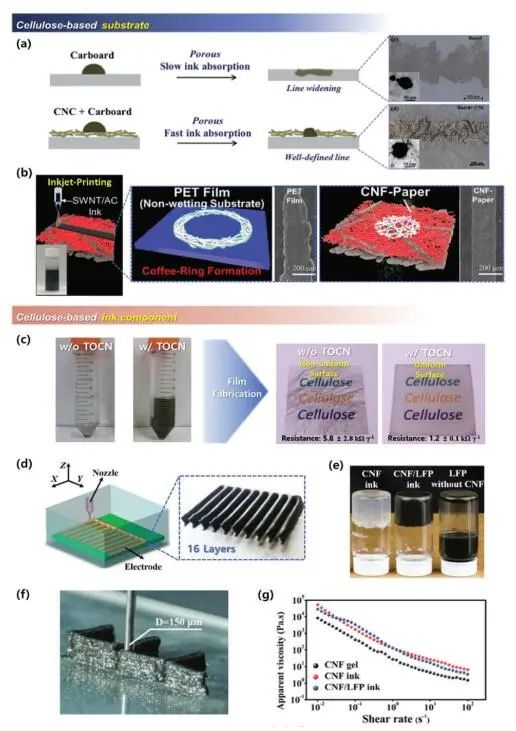 《先進(jìn)材料》綜述：為什么要用纖維素？纖維素基電化學(xué)儲(chǔ)能器件的優(yōu)勢(shì)何在？