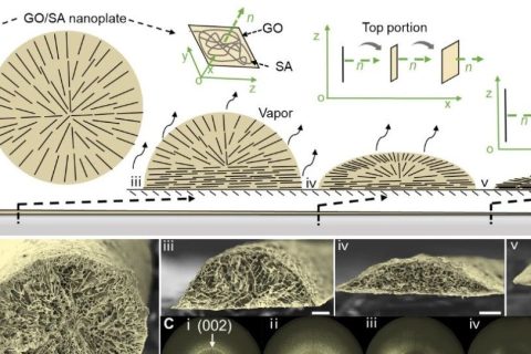 清華大學張瑩瑩課題組《PNAS》：3D打印制備超可拉伸離子神經(jīng)電極