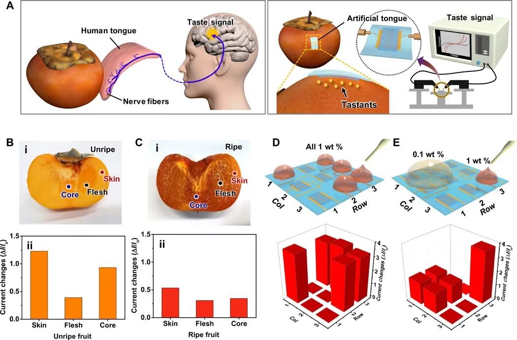 機(jī)器人也能“品味人生”？“人造舌頭”登上《Science》子刊，可“品嘗苦澀、分辨生熟”