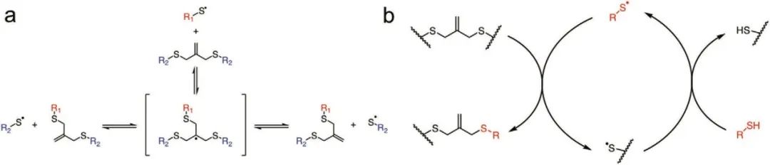 ?僅15秒！《AM》超快光降解生物水凝膠支架用于類器官傳代