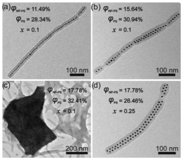 華中科技大學朱錦濤教授團隊《Macromolecules》：聚合物接枝的無機納米粒子在柱狀膠束中的軟受限行為