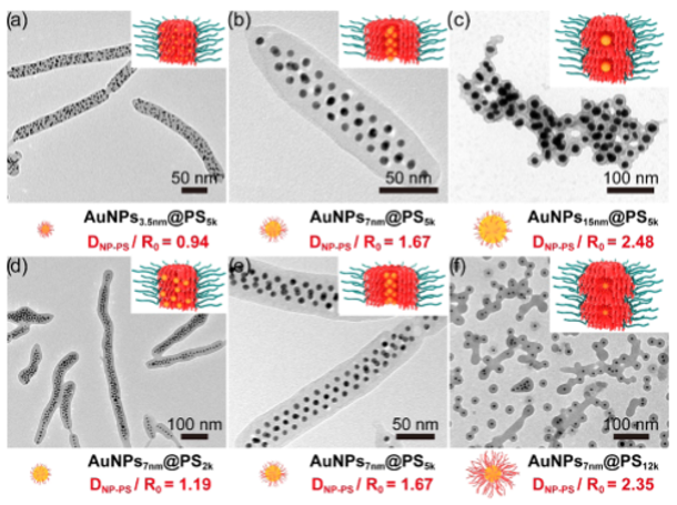 華中科技大學朱錦濤教授團隊《Macromolecules》：聚合物接枝的無機納米粒子在柱狀膠束中的軟受限行為