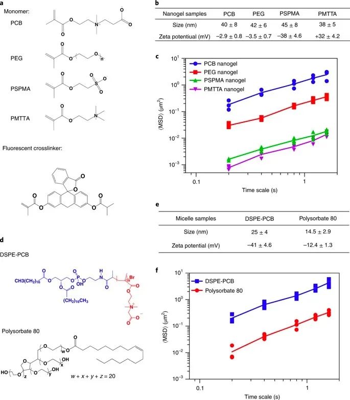 美國韋恩州立大學(xué)曹智強(qiáng)《Nat.Nanotech.》:高效口服胰島素問世，兩性膠束遞送胰島素?zé)o需打開緊密連接