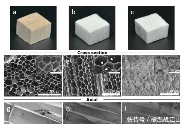 高度多孔、強韌的各向異性纖維素氣凝膠-1