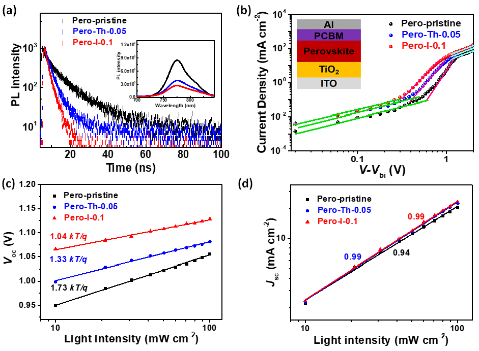 蘇州大學李耀文教授《AFM》:電子態(tài)調(diào)控新方法助力高效率鈣鈦礦太陽能電池