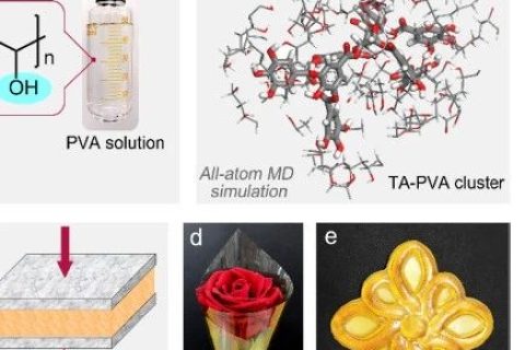 超越天然蛛絲！超高強(qiáng)度、極高韌性的超分子聚合物材料