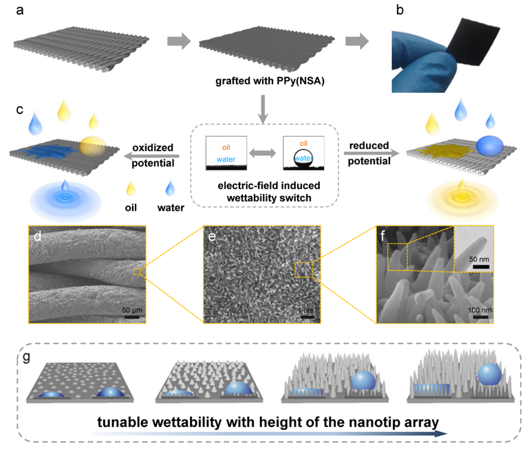 華南理工大學(xué)寧成云教授團隊《Nano letters》:“魔”法神器—油水分離新突破