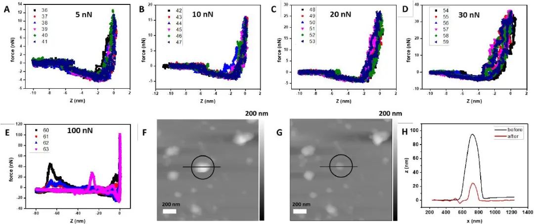 匹茲堡大學(xué)劉海濤/哈佛大學(xué)尹鵬《ACS Nano》：低密度，高強(qiáng)度的3D獨(dú)立DNA納米結(jié)構(gòu)雜化材料