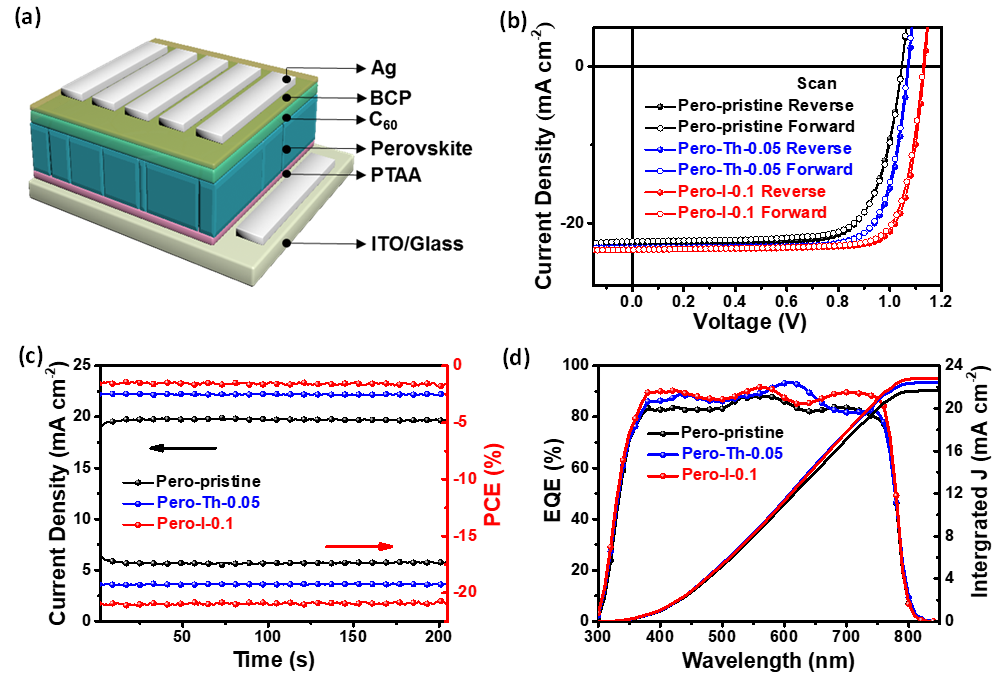 蘇州大學李耀文教授《AFM》:電子態(tài)調(diào)控新方法助力高效率鈣鈦礦太陽能電池