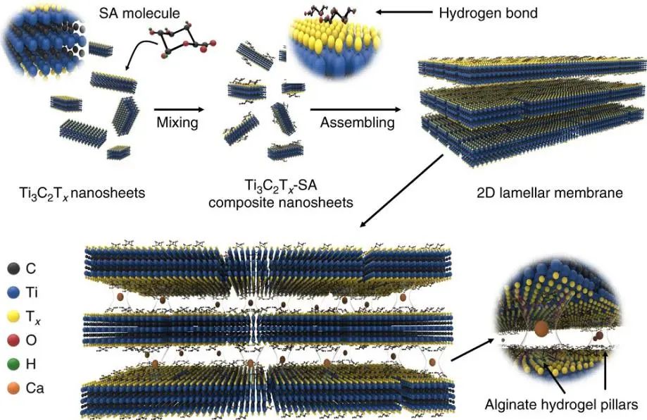 西安建筑科技大學王磊教授《自然·通訊》：?Ti3C2Tx新用途！實現(xiàn)100％硫酸鈉截留率和高水滲透性