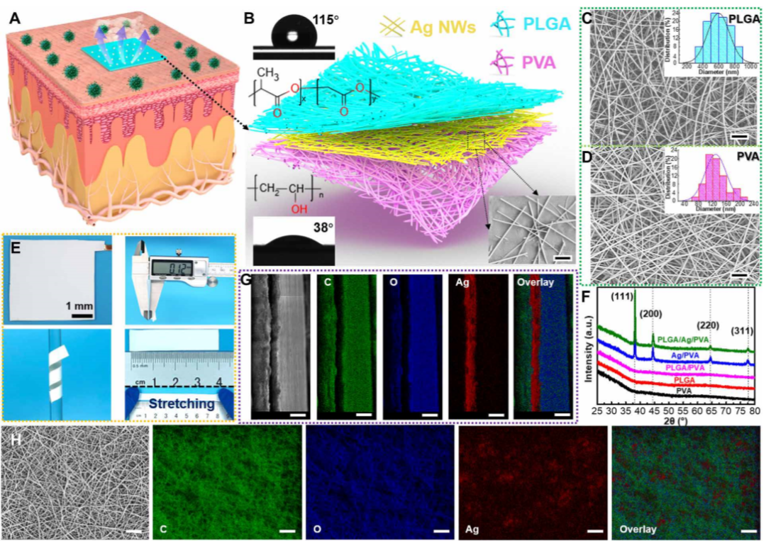 王中林院士團(tuán)隊《Science》子刊：透氣、抗菌、可降解電子皮膚！