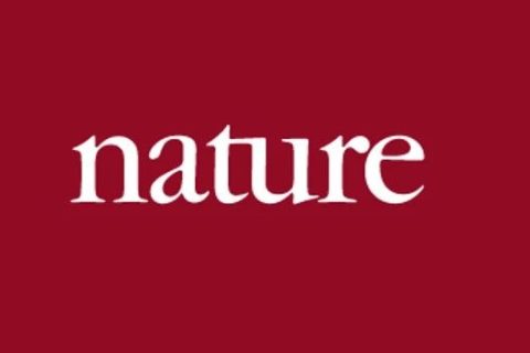 《Nature》子刊：注射這種光敏性聚合物納米粒子，成功恢復(fù)盲鼠視力