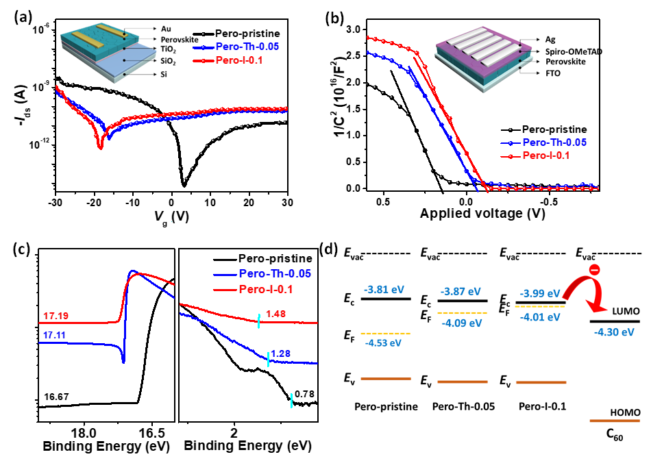 蘇州大學李耀文教授《AFM》:電子態(tài)調(diào)控新方法助力高效率鈣鈦礦太陽能電池