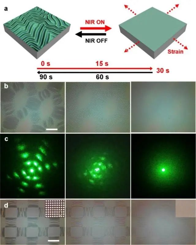 上海交大姜學松、張文明合作：揭示可編程二維表面褶皺圖案調(diào)控力學機制