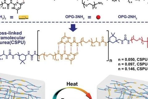 高韌性、可多次回收的超分子聚氨酯