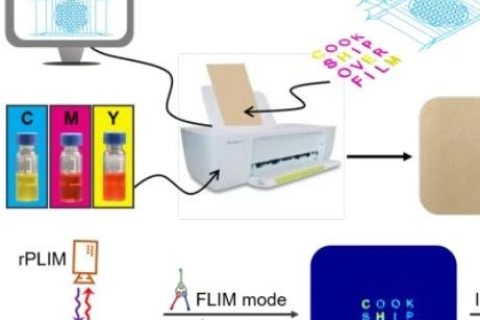 復旦大學王旭東《JACS》：三級加密！新一代發(fā)光防偽技術！