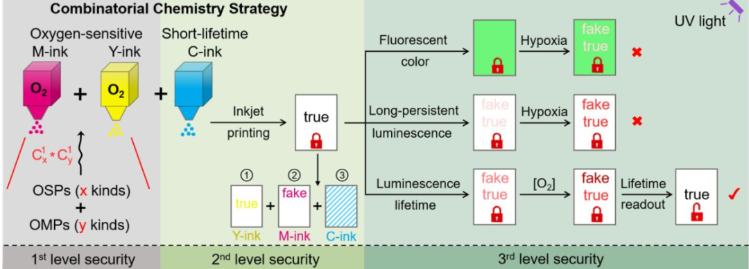 復(fù)旦大學(xué)王旭東《JACS》：三級(jí)加密！新一代發(fā)光防偽技術(shù)！