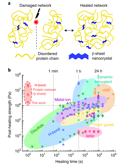 《自然·材料》：最強自修復材料！1秒自愈合，愈合強度高達23 MPa