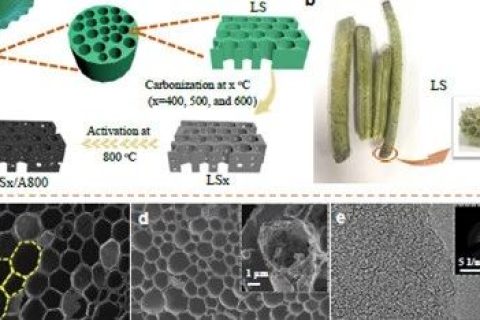 北航相艷課題組：可大規(guī)模生產(chǎn)的具有三級孔結構的三維碳框架應用于超級電容器和電容去離子