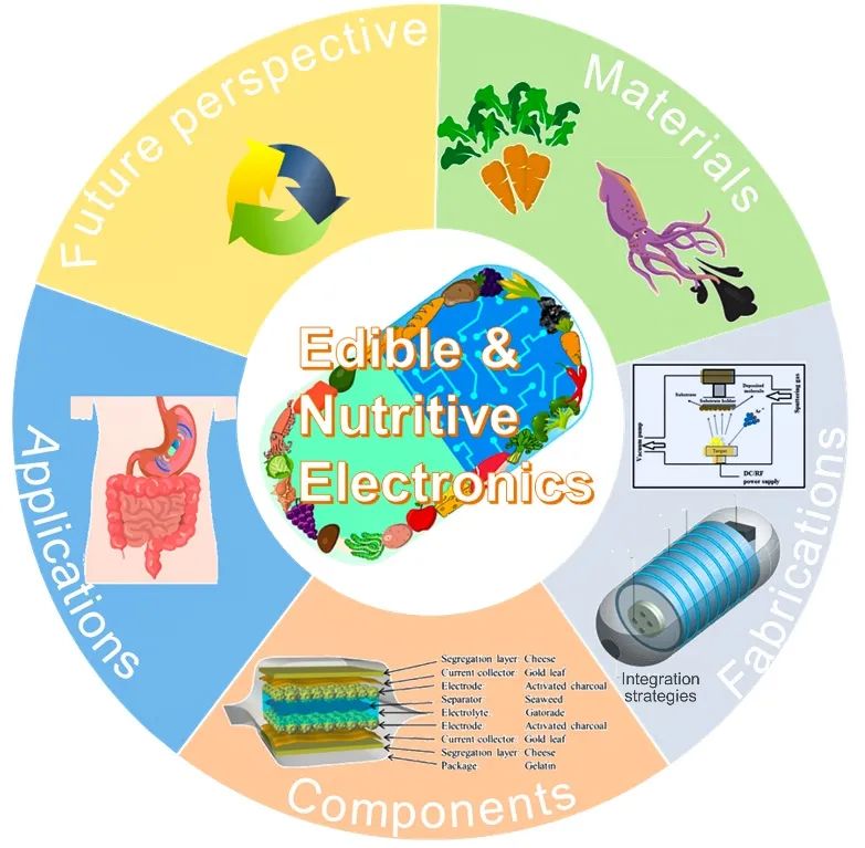 五邑大學(xué)巫瑩柱副教授與亞利桑那州立大學(xué)姜漢卿教授綜述：可食用、有營養(yǎng)電子器件：材料、制備方法、器件和應(yīng)用