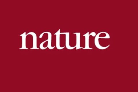 《Nature》：媽媽再也不用擔(dān)心我“脫發(fā)”了！