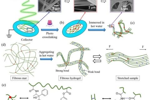 微納米纖維“邂逅”溫敏水凝膠，實現(xiàn)水下超快自恢復性能