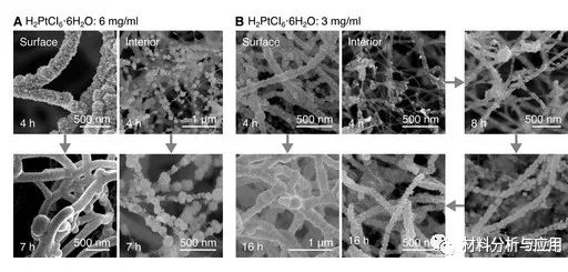 北京科技大學(xué)等《ACS Appl. Electron. Mater.》：使用碳納米管支架開(kāi)發(fā)彈性，堅(jiān)固和高度多孔的金屬泡沫