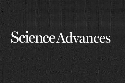 《Science Advances》：仿松針多級(jí)非對(duì)稱結(jié)構(gòu)超疏水表面多尺度液滴定向輸運(yùn)