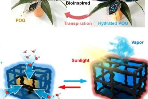 寧波材料所陳濤團隊《Angew》：受鐵蘭啟發(fā)的仿生有機凝膠進行大氣水分收集！