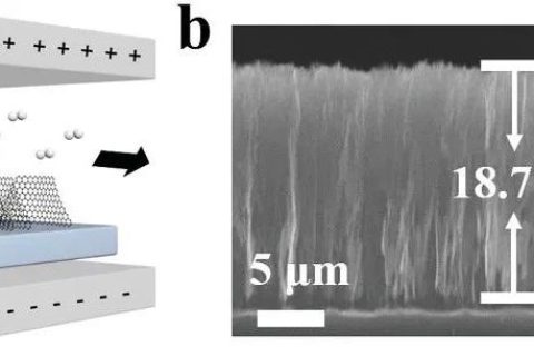 北京大學張錦院士團隊：垂直排列的石墨烯陣列！散熱技術新突破