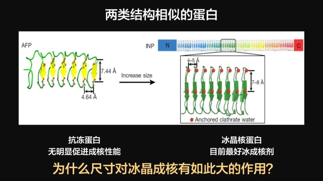 王健君：實(shí)證百年科學(xué)猜想，人體凍存未來(lái)可期