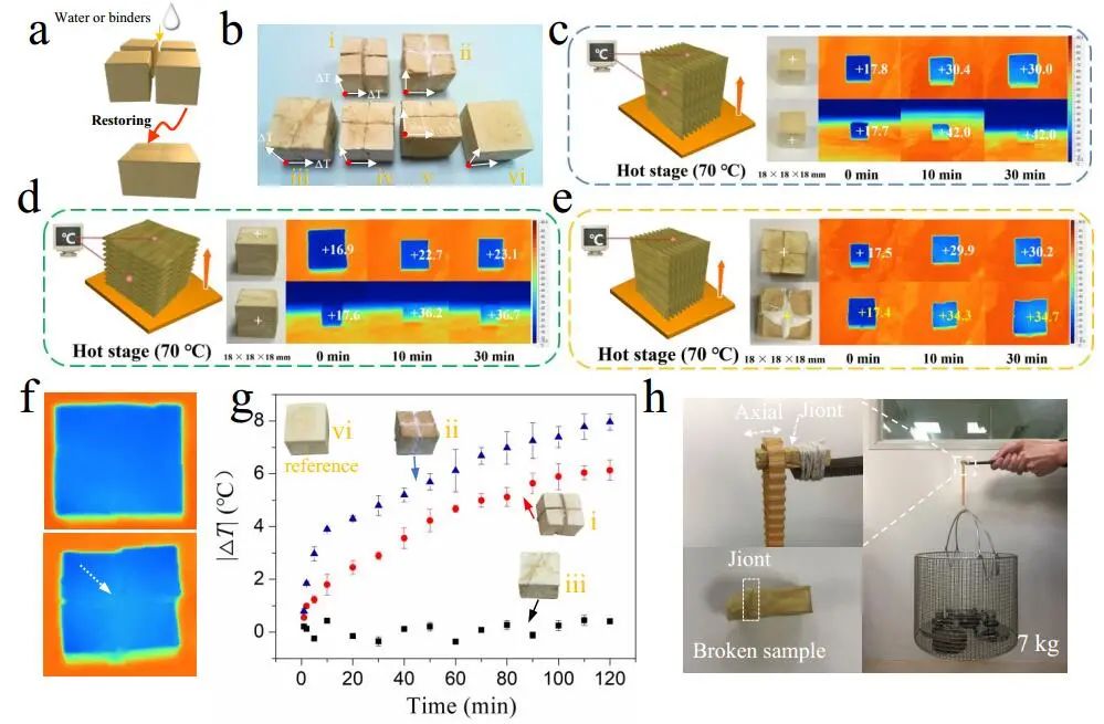 江漢大學(xué)曹一平《ACS Nano?》：仿生新成果！響應(yīng)空氣-水的復(fù)合材料，具有優(yōu)異的隔熱、自修復(fù)和自生長能力