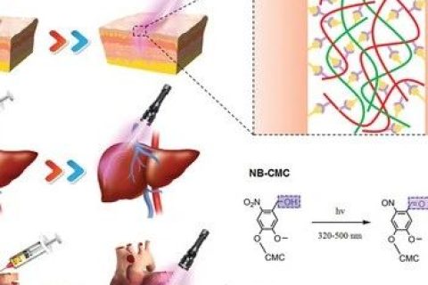 液體繃帶！具有強大組織粘合力、出色的止血、抗菌性能