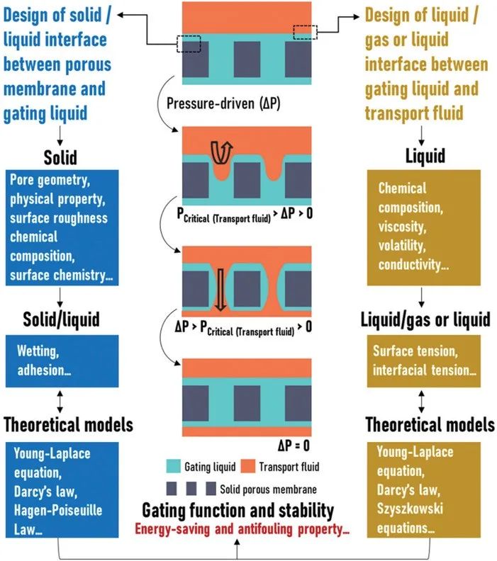 廈門大學侯旭課題組綜述：液基多孔膜，微納孔道藏世界，液體門控通乾坤！