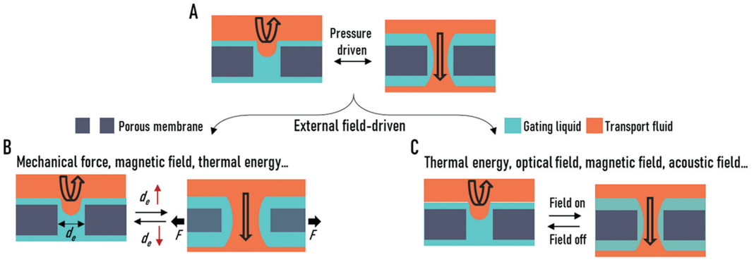 廈門大學侯旭課題組綜述：液基多孔膜，微納孔道藏世界，液體門控通乾坤！