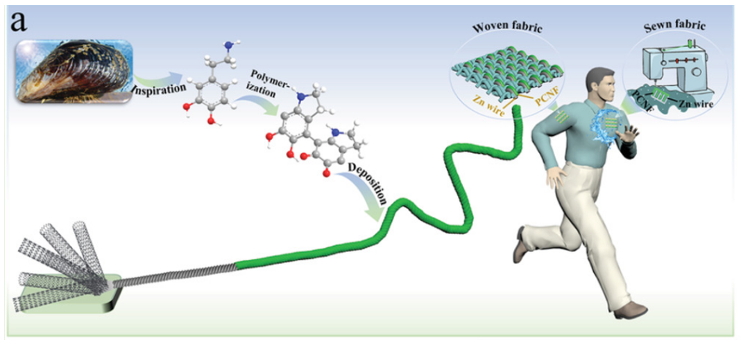 《AFM》：生物仿生材料助力設(shè)計(jì)可編織、縫紉、洗滌的高容量柔性鋅電池織物