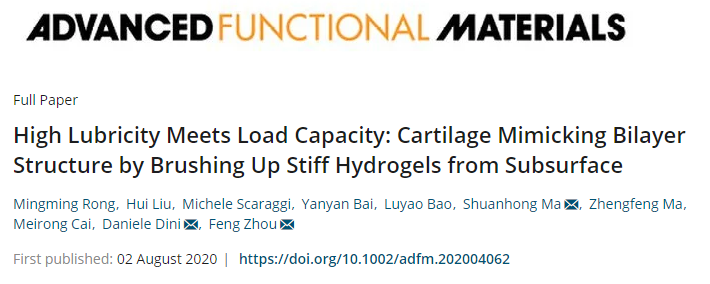 蘭州化物所周峰團(tuán)隊(duì)《AFM》：仿天然軟骨的雙層水凝膠實(shí)現(xiàn)高負(fù)載與低摩擦！