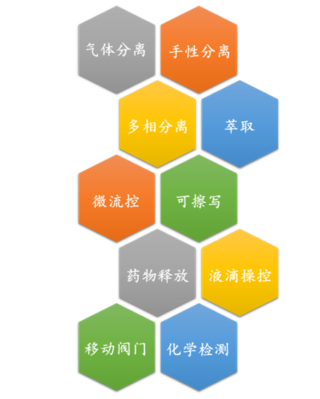 廈門大學侯旭課題組綜述：液基多孔膜，微納孔道藏世界，液體門控通乾坤！