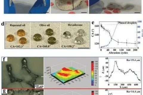 清華大學(xué)鄭泉水院士團(tuán)隊(duì)《AFM》：耐磨損、耐沖擊、自清潔的超疏水/超疏油微納復(fù)合材料