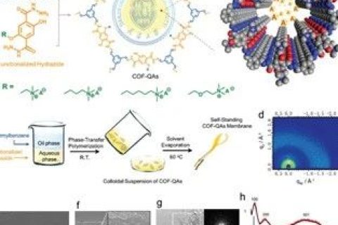 具有最高氫氧化物電導(dǎo)率的COFs膜，實(shí)現(xiàn)超快陰離子傳輸