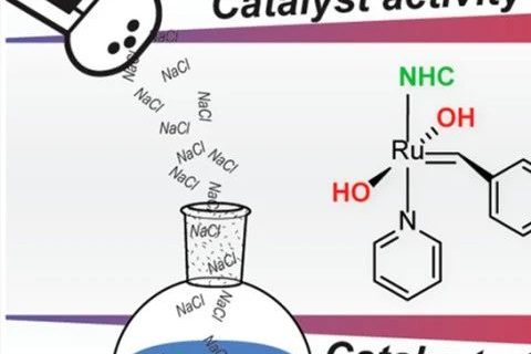 《JACS》：“開環(huán)易位聚合”像炒菜，加點(diǎn)鹽可控性更好！