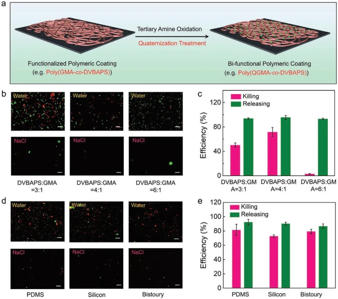 浙江工業(yè)大學(xué)楊晉濤《AFM》：表面涂層領(lǐng)域新突破！一種可控功能化聚合物表面的通用涂層策略