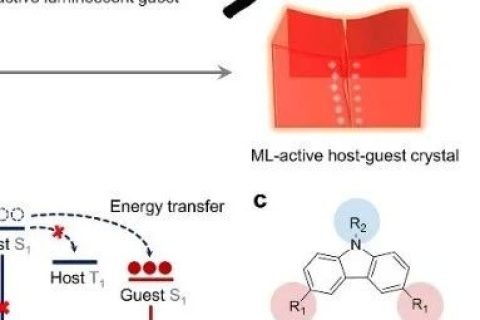 中山大學(xué)池振國教授團隊：力致發(fā)光材料體系的新設(shè)計策略