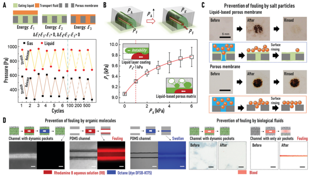 廈門大學侯旭課題組綜述：液基多孔膜，微納孔道藏世界，液體門控通乾坤！