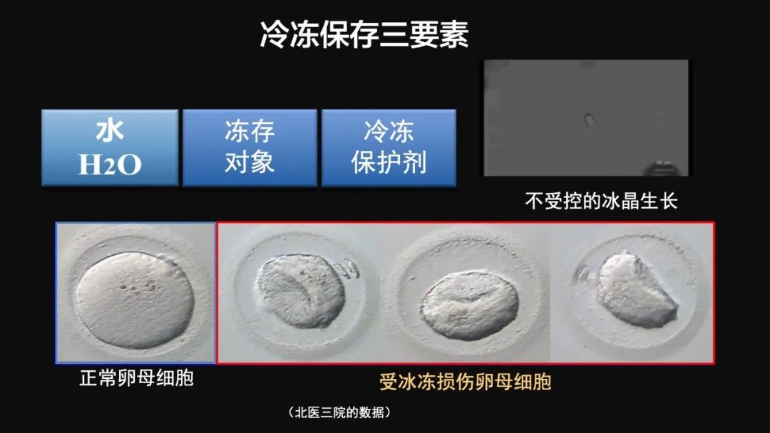 王健君：實(shí)證百年科學(xué)猜想，人體凍存未來(lái)可期