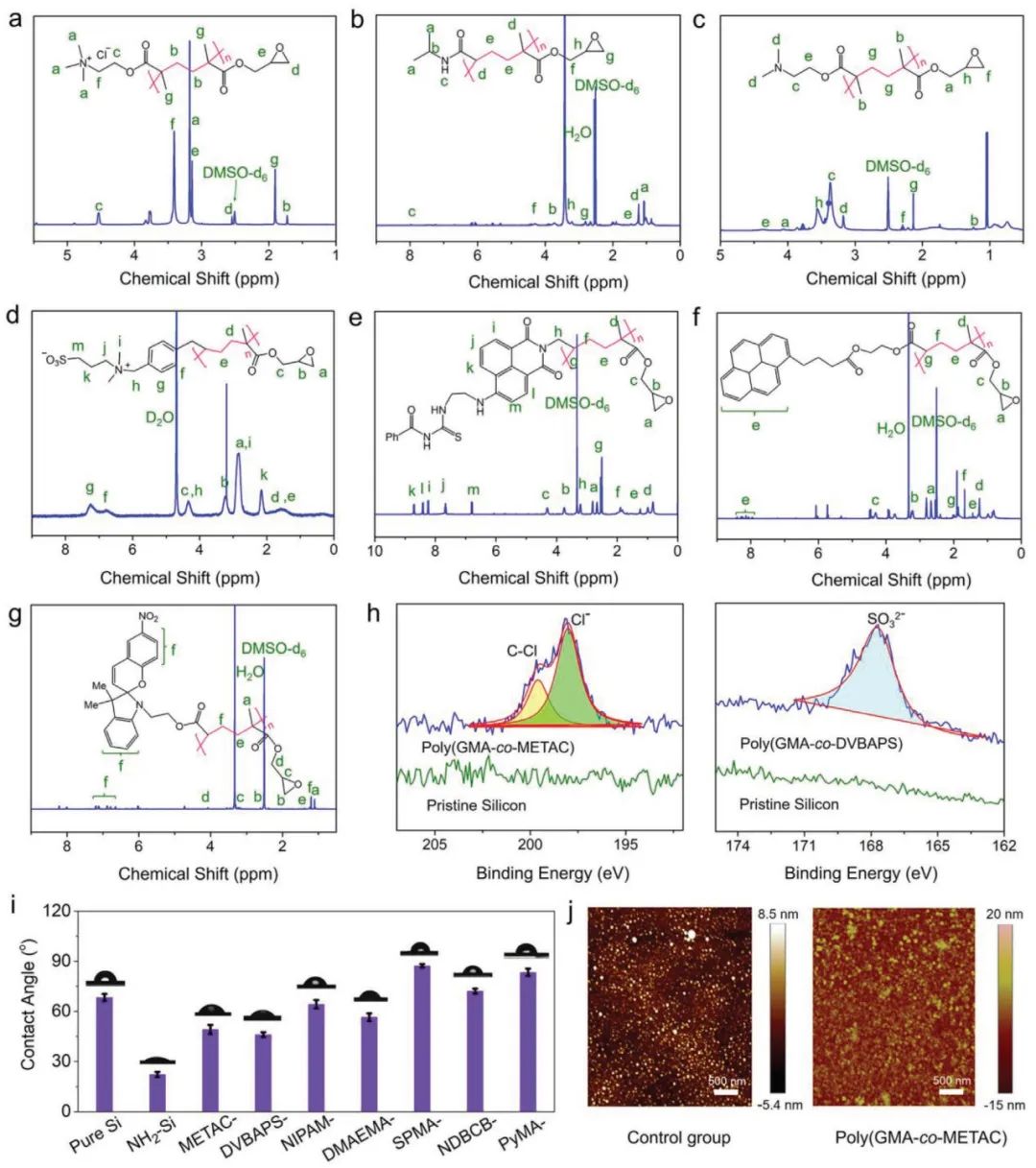 浙江工業(yè)大學(xué)楊晉濤《AFM》：表面涂層領(lǐng)域新突破！一種可控功能化聚合物表面的通用涂層策略